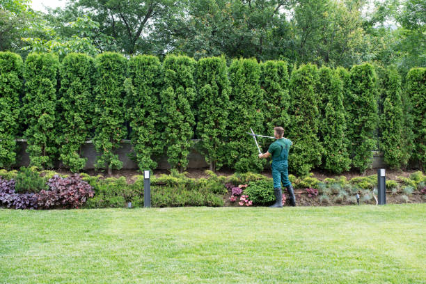 Best Arborist Consultation Services  in Lifornia Polytechnic State University, CA